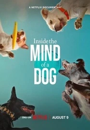 ดูหนังออนไลน์ฟรี Inside the Mind of a Dog อ่านใจสุนัข (2024)